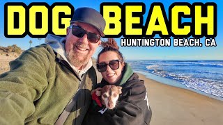 BEACH DAY Lunch at Pacific City in Huntington Dog Beach amp Lido Newport Christmas Shopping [upl. by Batsheva]