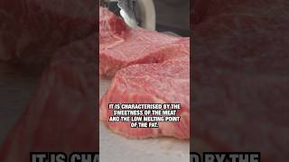 You Know Kobe Beef Let Us Introduce Banshu Beef wagyu japanesefood japan [upl. by Bal]