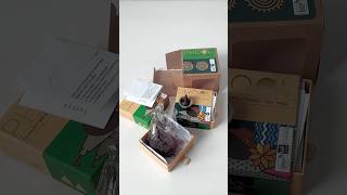 PHOOL LUXURY INCENSE Pack Of 2 Natural Incense Cones Aromatherapy Pack 80 Organic Dhoop unboxing [upl. by Marsland315]