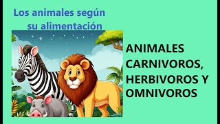 ANIMALES CARNIVOROS HERBIVOROS Y OMNIVOROS PARA NIÑOS [upl. by Roderich287]