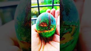 Painting on eggshell  how to paint on eggshell art egg eggshell paintingtutorial [upl. by Elagibba54]