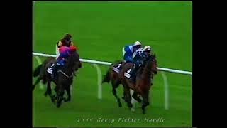 1994 BonusPrint Gerry Fielden Hurdle [upl. by Mintun554]