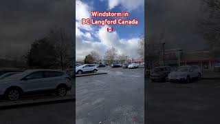 Windstorm in Langford BC Canada shortvideo everyone canada langford [upl. by Anwahs]