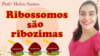 Descubra a Função dos RIBOSSOMOS Ah ELES NÃO SÃO ORGANELAS 😲🤯 Biologia Celular com Helen Santos [upl. by Alyosha]