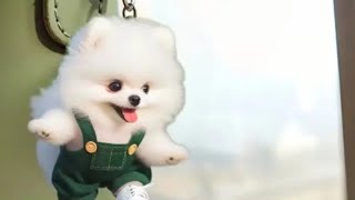 🥳🫨LETS PLAY DOG COIN BANK ASMR SHORTLIVE SHORTFEED TRENDING [upl. by Ammeg]