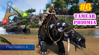 TAMEAR PHIOMIA  ARK Survival Evolved PS4 6  Servidor Oficial PVE [upl. by Crichton]