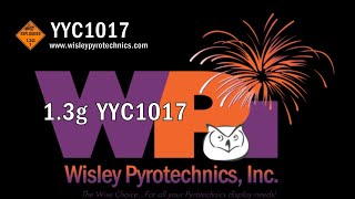 Wisley Pyrotechnics Inc YYC1017 100 Shot Cake [upl. by Reyotal818]