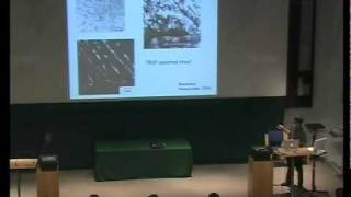 Metals and Alloys lecture 11 Some Metallic Alloys [upl. by Innig]