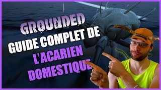 Grounded guide complet de lacarien domestique [upl. by Linette937]