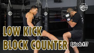 Low Kick Block Counter  Episode 77 [upl. by Dearman428]