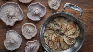 Dry Sauteed Blewit Mushrooms [upl. by Leontina884]