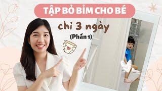 Kinh Nghiệm Tập Bỏ Bỉm Cho Bé Chỉ Trong 3 Ngày Phần 1 My Thuan Family [upl. by Yemorej]