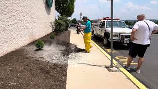 Mulch Fire  Pottsville PA  June 22nd 2024 [upl. by Leahci]