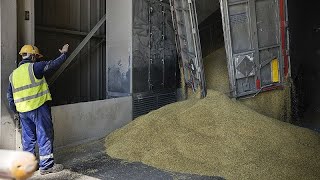 Not acceptable EU decries bans on tarifffree Ukrainian grain imposed by neighbouring countries [upl. by Lemmie]