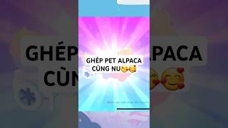 Ghép pet alpaca mới cùng NuNuxinhdepkhanhlinhtogether [upl. by Ognimod]