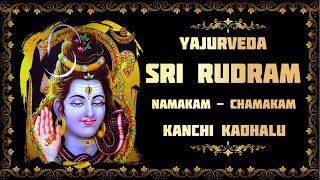 Yajurveda  Sri Rudram  Namakam  Chamakam  chanting by vedic pandits [upl. by Burra494]