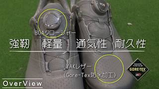 GoProGolf Ecco BIOM HYBRID3 Mens Golf BOA GTX [upl. by Nnaaihtnyc]