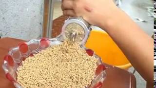 Manual Feed Pellet Machine [upl. by Mail565]