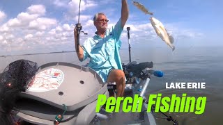 Shallow Water Yellow Perch Fishing on Lake Erie [upl. by Zzabahs]