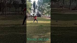 Mavashi Geri kick work tutorial martial arts training short video youtube [upl. by Riatsila]