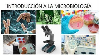 INTRODUCCIÓN A LA MICROBIOLOGÍA  ¿Qué es la microbiología [upl. by Cirilo]