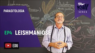 Leishmaniose Parasitologia  EP 4  Biokrill Series [upl. by Aikel]