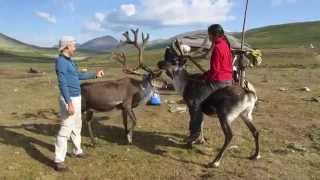 Riding Reindeer in Mongolia [upl. by Marcoux254]