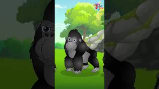 Jungle Animals Song  English Nursery Rhymes amp Kids Songs  COCO JOJO LULU junglesafari [upl. by Verada]