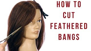 Feathered Layers Haircut Tutorial  How to Cut Feathered Bangs amp Face Frame  TheSalonGuy [upl. by Lhadnek802]