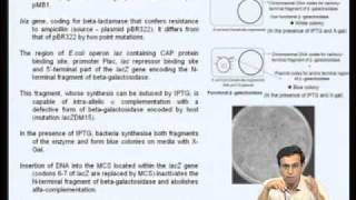 Mod08 Lec29 Cloning and Expression vectors [upl. by Secilu134]