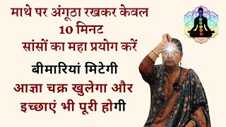 केवल 10 मिनट सांसों का महा प्रयोग करें आज्ञा चक्र भी जागेगा और इच्छाएं भी पूरी होगी [upl. by Hogue]