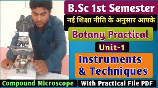 BSc 1st Semester Botany Practical According to New Education PolicyBotany Practical For BSc1st Year [upl. by Buehrer19]