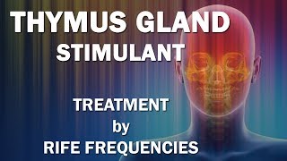 Thymus Gland Stimulant  RIFE Frequencies Treatment  Energy amp Quantum Medicine with Bioresonance [upl. by Nisbet528]