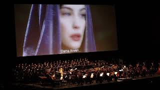 Lord of The Rings live orchestra  Arwens vision  Minas Tirith entrance Return of the King [upl. by Eniloj]