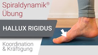 Spiraldynamik® Übung Hallux Rigidus  Koordination amp Kräftigung [upl. by Debby198]