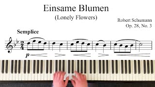 R SCHUMANN  Einsame Blumen Op82 n3 Lonely Flowers from Oboe Solos Jay Arnold Playalong [upl. by Aneeb552]