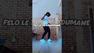 Felo le tee ft Madumane x Kabza Da Small x Mpura Ngwana Mani 🥵feloletee amapiano djmaphorisa [upl. by Latsirhc]