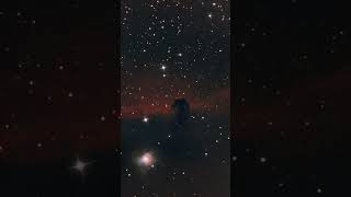 The Horsehead Nebula Through My Telescope explorescientific svbony sv405 gso [upl. by Nimzzaj]