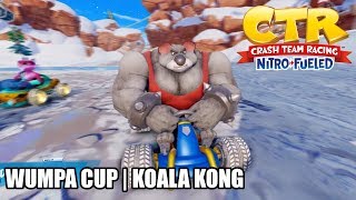 Crash Team Racing NitroFueled  Wumpa Cup  Koala Kong Nintendo Switch [upl. by Maon]