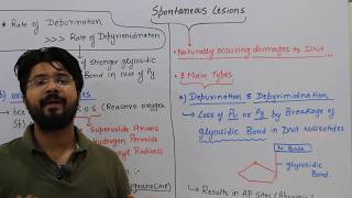 Spontaneous lesions Mutations CSIR NEET DBT Molecular Biology [upl. by Lonny]