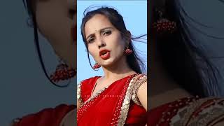 चिंगम – Chingam  Killachop amp Bini Sharma  Sanjay Kirade  Adiwasi Trending Status adivasisong [upl. by Elik742]