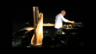 LUC VANLAERE plays harp hang guzheng kotamo and singing bowls [upl. by Nykal]