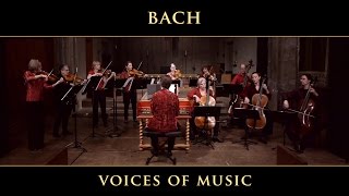 Voices of Music Bach Handel amp Corelli 4K UHD [upl. by Ellerret]