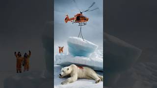 Polar Bear Rescue in the Most Unbelievable Way [upl. by Hasila]