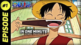 Future Pirat King Monkey D Luffy One Piece Episode 1 Recap [upl. by Arick]