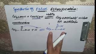 Esterification Synthesis of Ester Mechanism 2nd year chemistry unit 13 mzkchemistry [upl. by Euqininod]