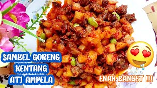 Sambal Goreng Kentang Ati Ampela [upl. by Leirea859]