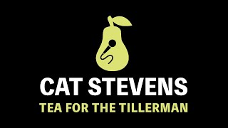 Cat Stevens  Tea for the Tillerman Karaoke [upl. by Ehcropal962]