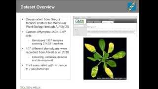 GWAS in a model organism Arabidopsis thaliana [upl. by Noet]