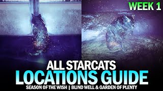 All Starcat Locations Guide  Week 1 Blind Well amp Garden of Plenty Destiny 2 [upl. by Edee746]